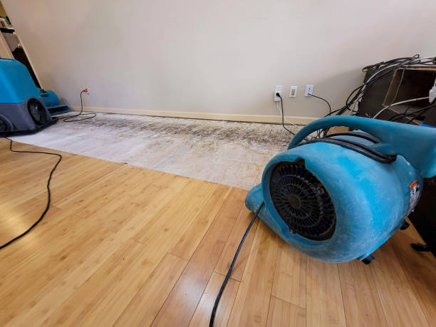 Professional Water Removal technician working in Henderson, TX